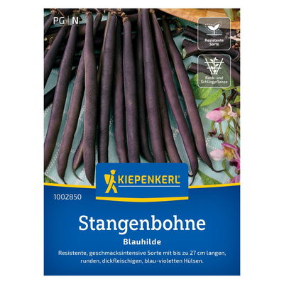 Saatgut, Stangenbohne 'Blauhilde' Saatgut, Stangenbohne 'Blauhilde'
