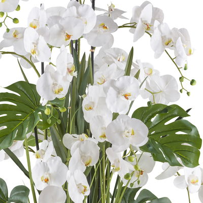 Kunstpflanze Phalaenopsis-Arrangement, grün/weiß, Höhe ca. 140 cm