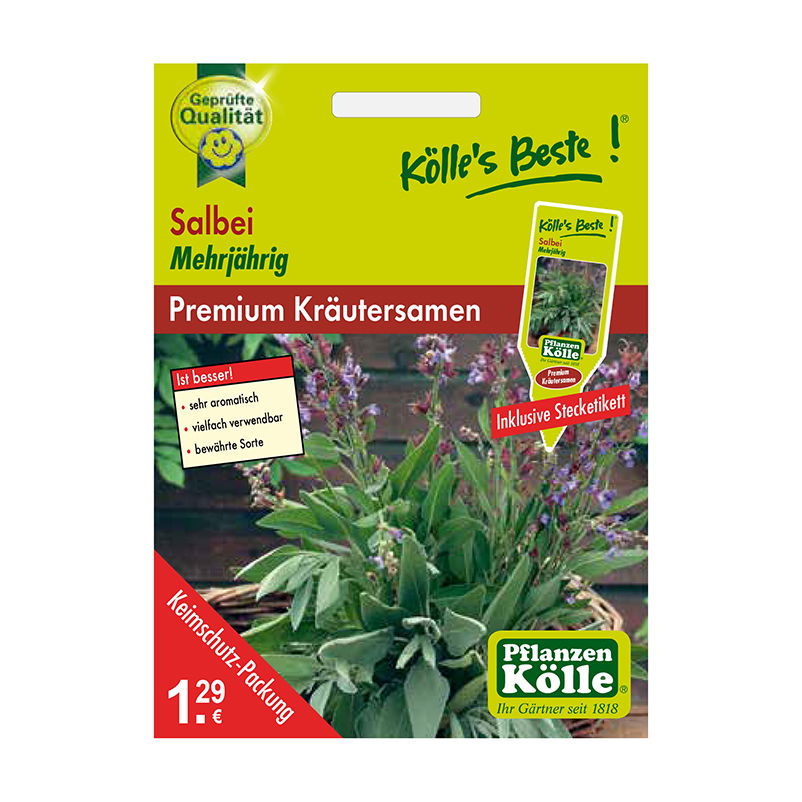 Kölle's Beste Salbei mehrjährig, 6 g