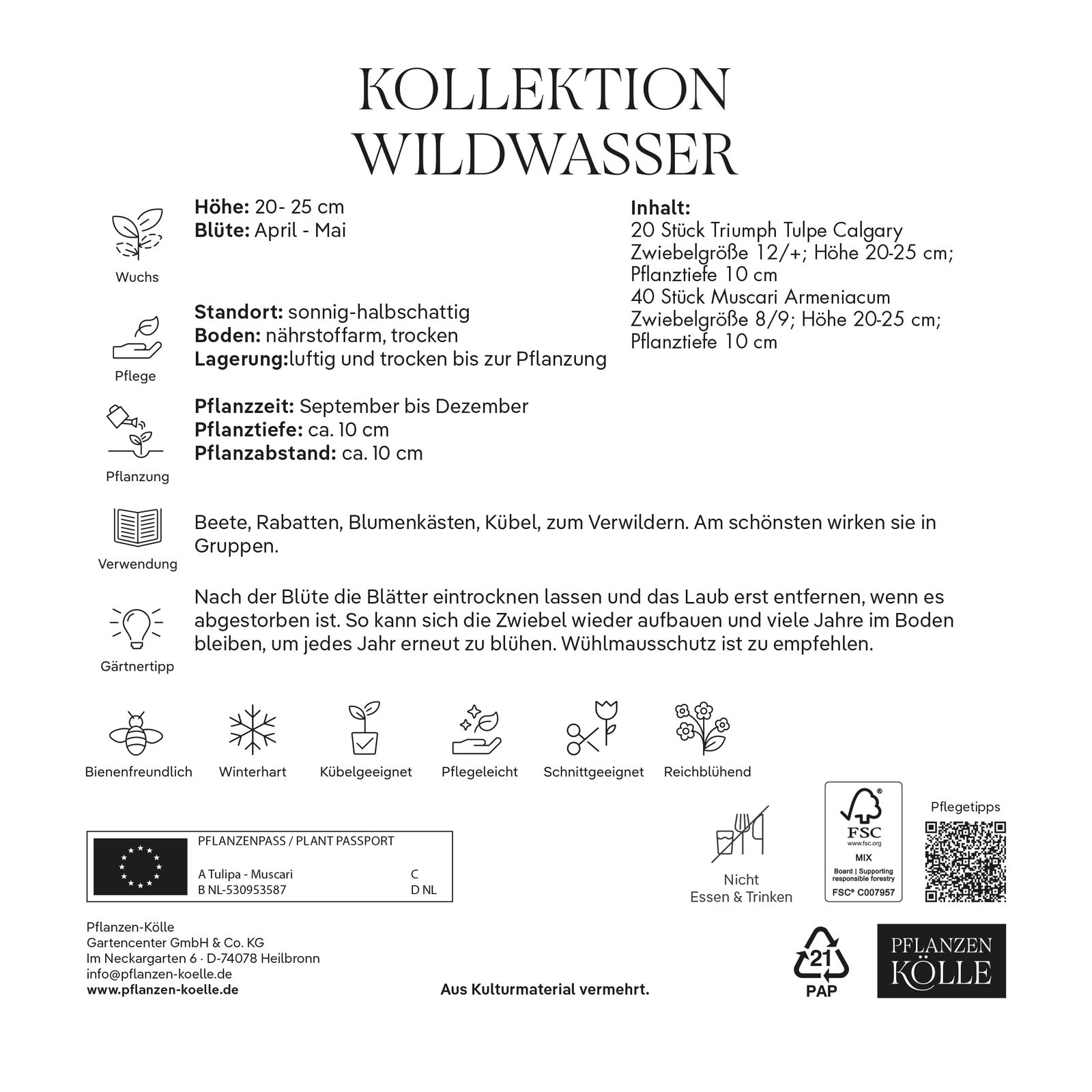 Wildwasser Kollektion 40 Blumenzwiebeln