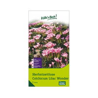 Herbstzeitlose (Colchicum Lilac Wonder) lila-rosa, 1 Blumenzwiebel