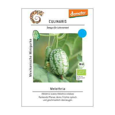 Mini Gurkensamen, Mexikanische Minigurke Mini Gurkensamen, Mexikanische Minigurke