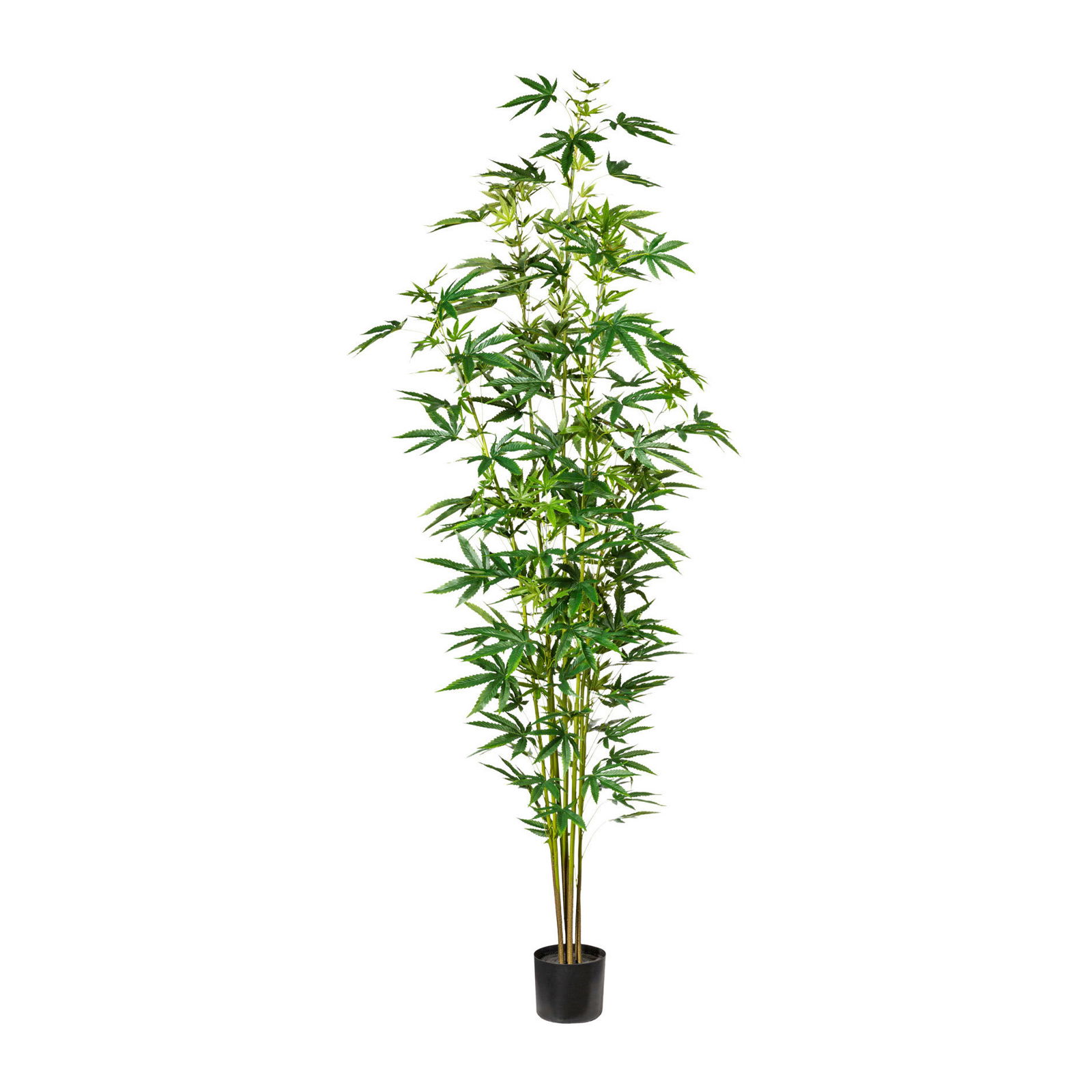 Kunstpflanze Zierhanfpflanze, ca. 263 Blätter, Höhe ca. 210 cm