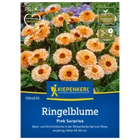 Kiepenkerl Saatgut Ringelblume 'Pink Surprise'