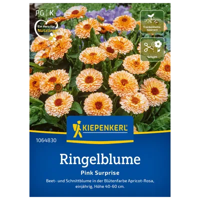 Kiepenkerl Saatgut Ringelblume 'Pink Surprise' Kiepenkerl Saatgut Ringelblume 'Pink Surprise'