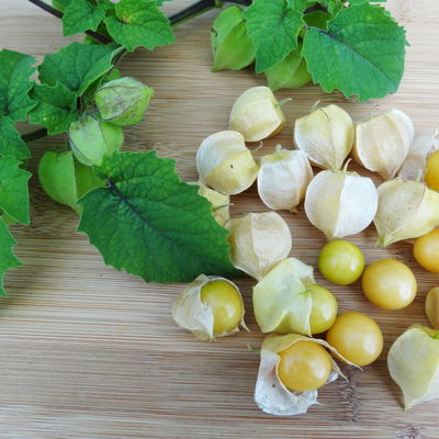 Blu Bio Ananaskirsche, Topf-Ø 12 cm, 3er Set