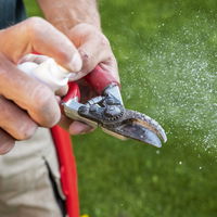 Felco Harzlöser-Spray Nr. 981 Felco Harzlöser-Spray Nr. 981