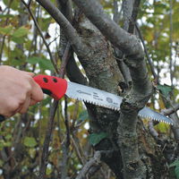 Felco Baumsäge Nr. 611 mit Träger Felco Baumsäge Nr. 611 mit Träger