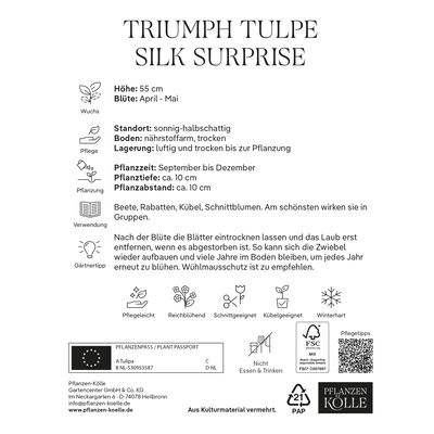 Kölles Beste Tulpe 'Silk Surprise®', rosa-gelb 7 St. Kölles Beste Tulpe 'Silk Surprise®', rosa-gelb 7 St.