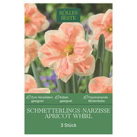 Schmetterling Narzissen Apricot Whirl, 3 Blumenzwiebeln