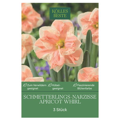 Schmetterling Narzissen Apricot Whirl, 3 Blumenzwiebeln Schmetterling Narzissen Apricot Whirl, 3 Blumenzwiebeln