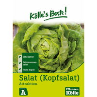 Kölle's Beste Gemüsesamen Kopfsalat 