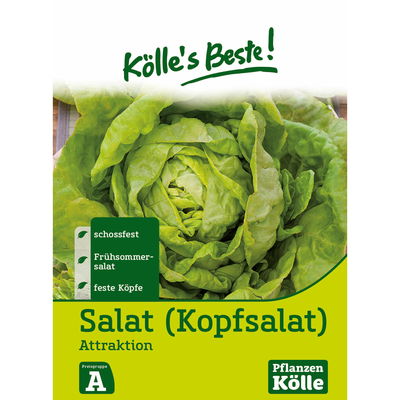 Kölles Beste Gemüsesamen Kopfsalat 