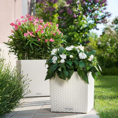 Lechuza 'Cube Cottage 50', weiß, ca. 49 x 49 x H 49,5 cm