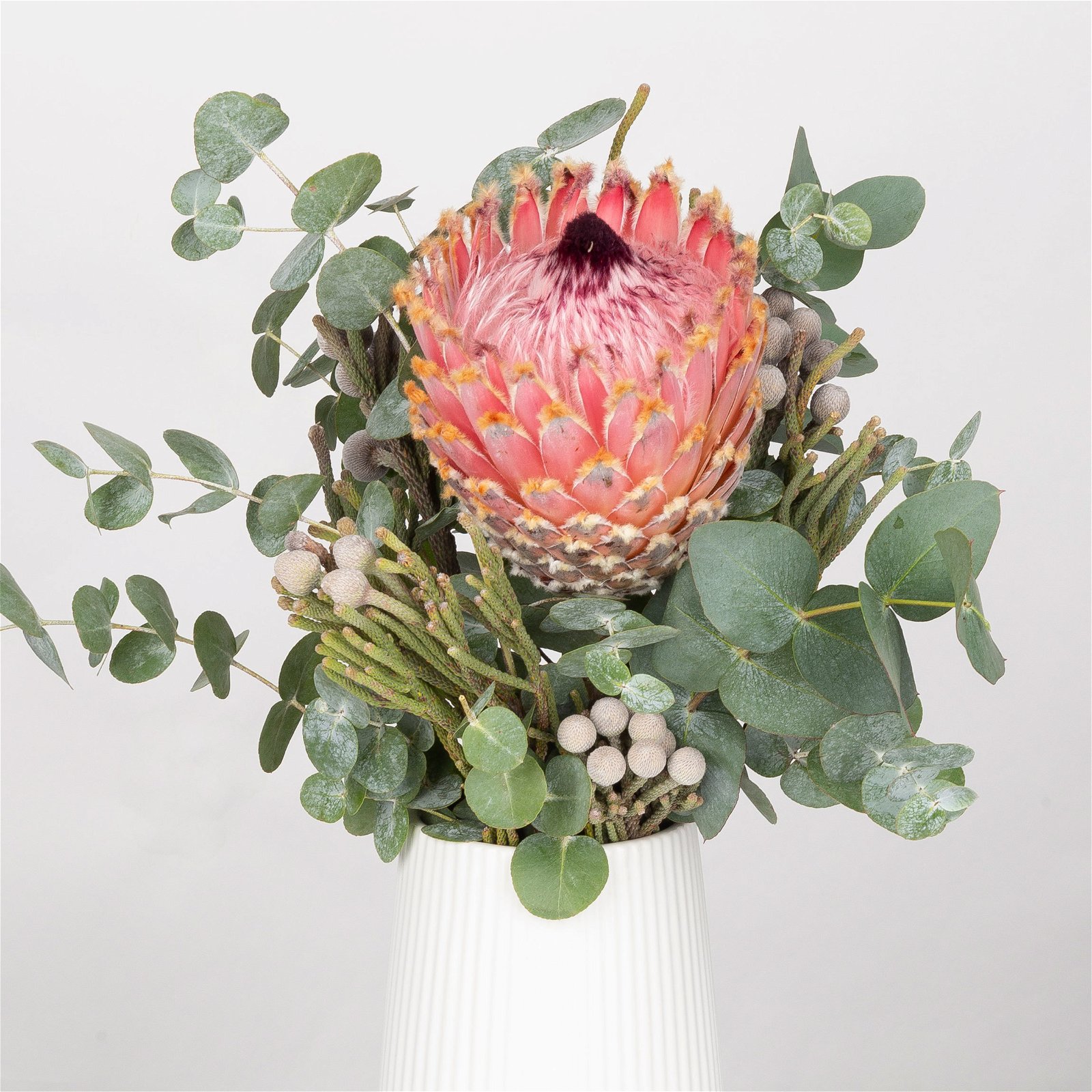 Blumenbund Protea barbigera mit Eukalyptus und Brunia, inkl. gratis Grußkarte