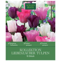 Tulpen-Mischung Liebeszauber, 15 Blumenzwiebeln