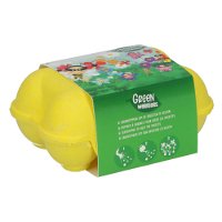 Egg Box mit Samenbomben für Insekten