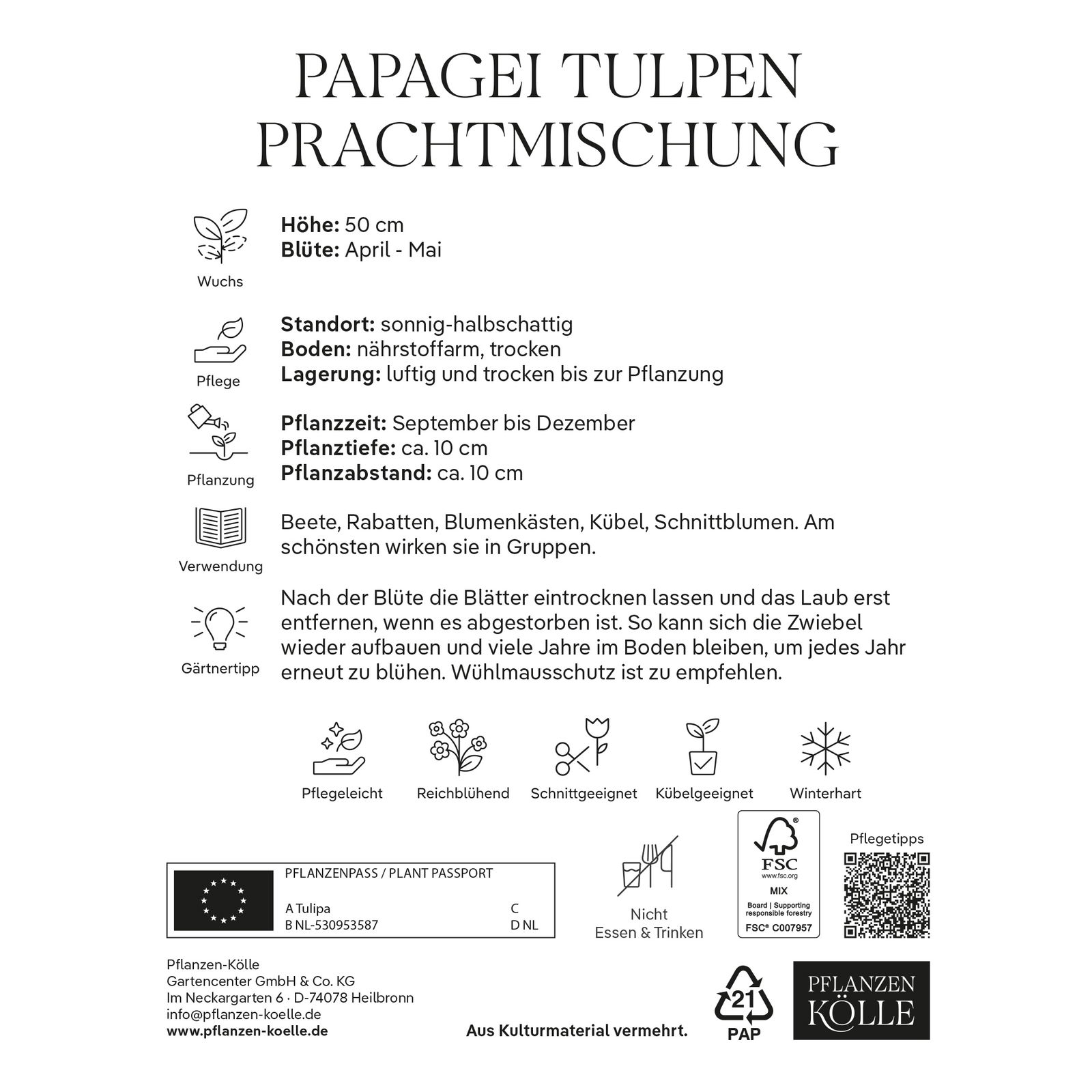 Papagei-Tulpen Prachtmischung, 20 Blumenzwiebeln Papagei-Tulpen Prachtmischung, 20 Blumenzwiebeln