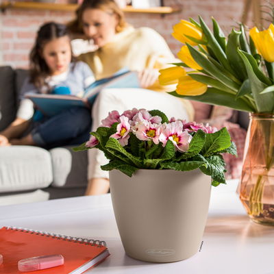 Lechuza 'Classico Color 21', sandbraun, ca. Ø 21,5 x H 20,5 cm Lechuza 'Classico Color 21', sandbraun, ca. Ø 21,5 x H 20,5 cm