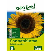 Kölle's Beste Blumensamen Sonnenblume 