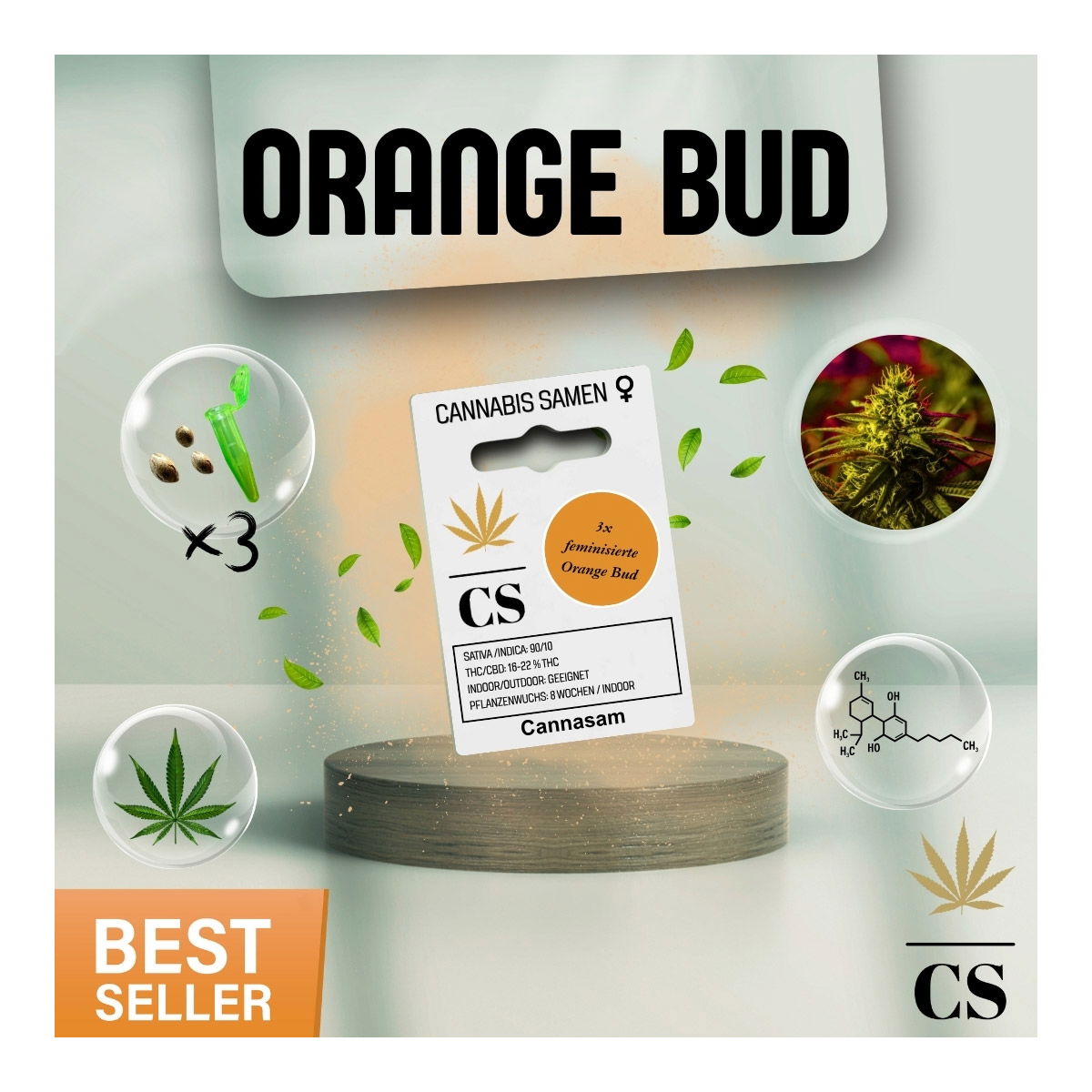 Cannabis Saatgut Hanf 'Orange Bud'