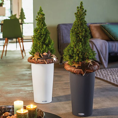 Lechuza 'Cilindro Color 23', schiefergrau, ca. Ø 23 x H 41 cm