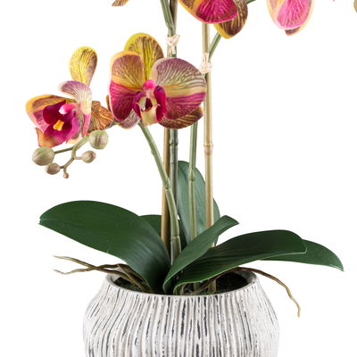 Kunstpflanze Phalaenopsis, gelb/pink/grau, Höhe ca. 48 cm