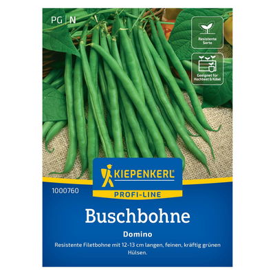 Saatgut, Buschbohne 'Domino' Saatgut, Buschbohne 'Domino'