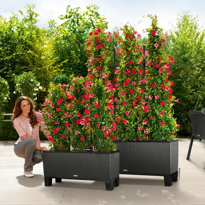 Lechuza 'Trio Cottage 30', granit, ca. 100 x 32 x H 34 cm