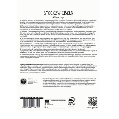 Sperli Steckzwiebel 'Herkules®', gelb, 65 Stück, ca. 200 g