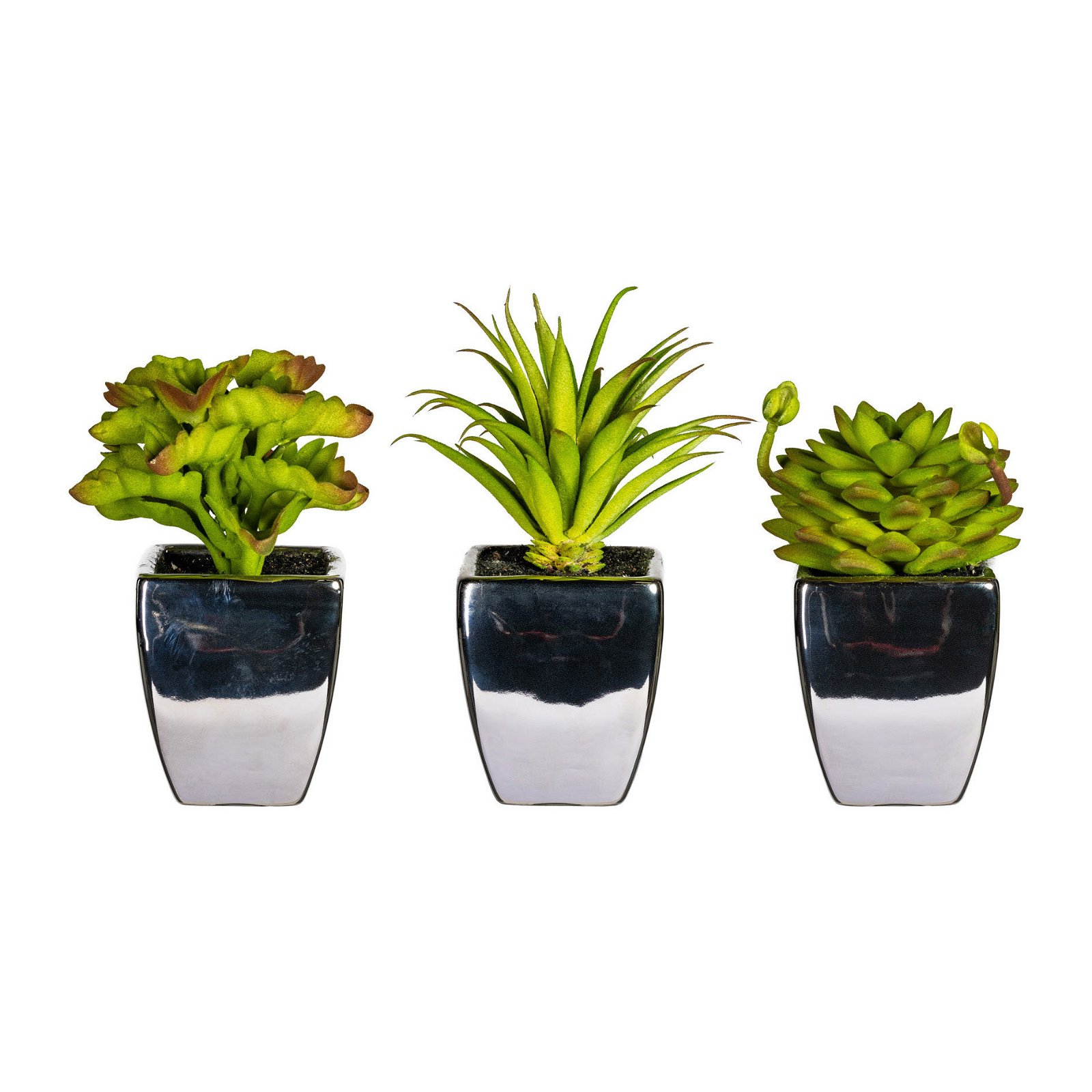 Kunstpflanze Sukkulenten im Keramik-Topf, 3er-Set