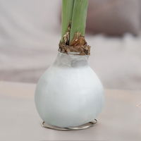 Amaryllis in Wachs, Dekor 'Basic White', Blüte rot