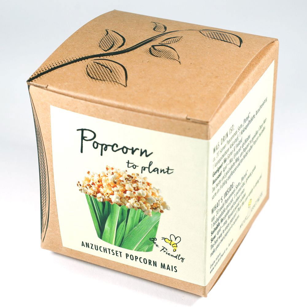 Saatgut Popcorn-Mais, gelb