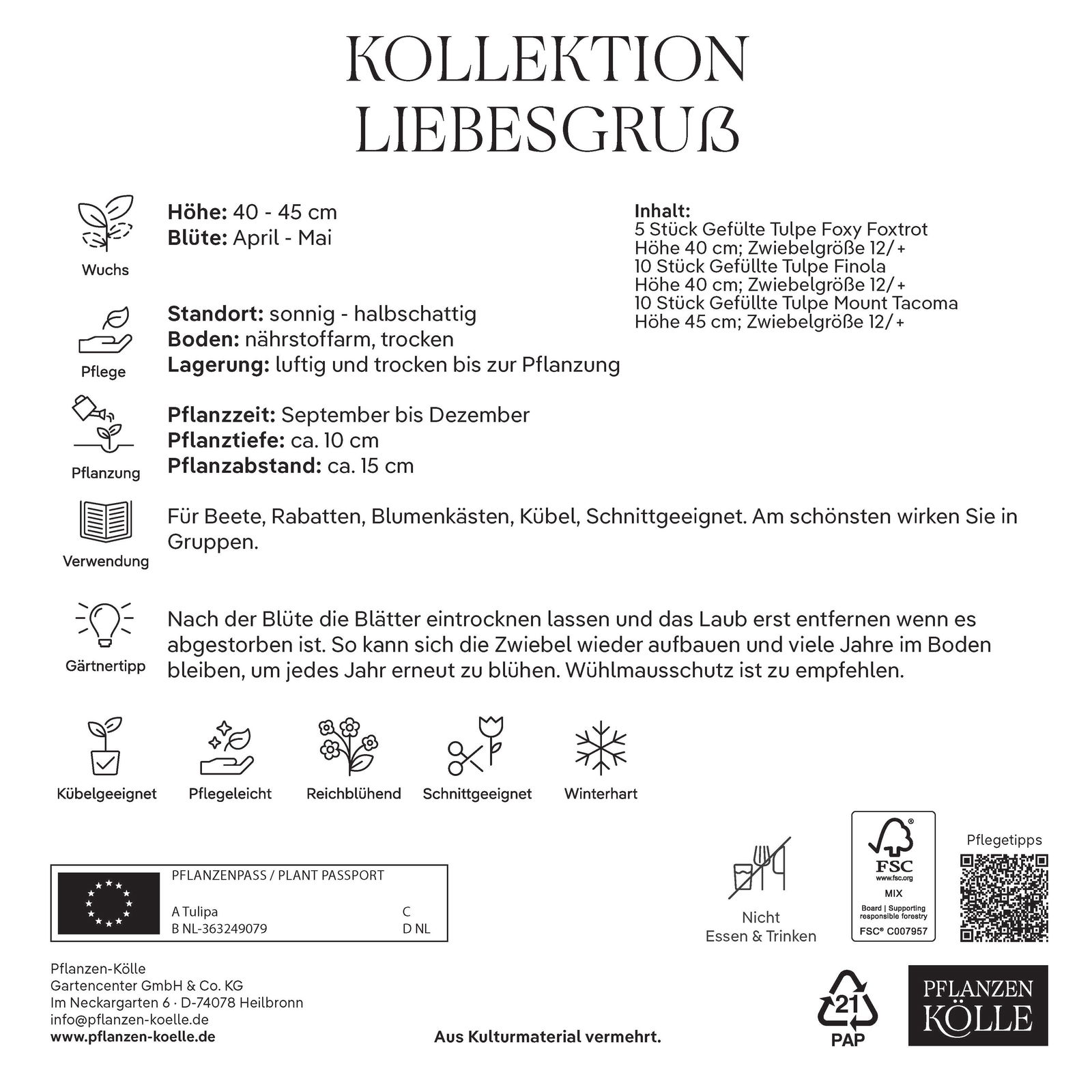 Tulpenmischung, Kollektion 'Liebesgruß', 20 Blumenzwiebeln