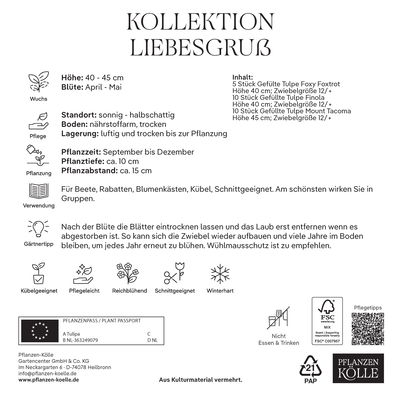 Tulpenmischung, Kollektion 'Liebesgruß', 20 Blumenzwiebeln Tulpenmischung, Kollektion 'Liebesgruß', 20 Blumenzwiebeln