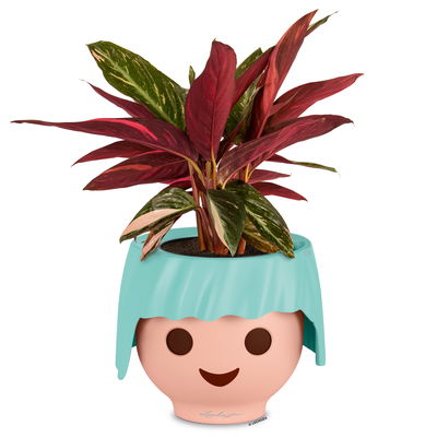 Lechuza 'Ojo', aquamarine, ca. Ø 21 x H 15,8 cm Lechuza 'Ojo', aquamarine, ca. Ø 21 x H 15,8 cm