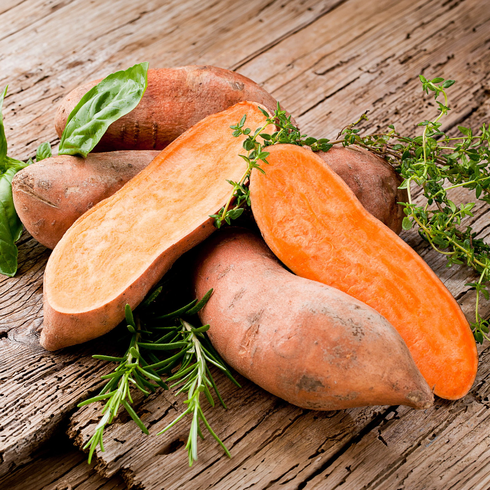 Bio Süßkartoffel orange, Topf-Ø 12 cm, 3 Pflanzen