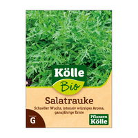 Kölle Bio Kräutersamen Salatrauke