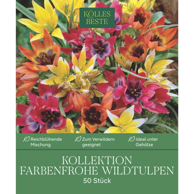 Wildtulpen-Mischung, bunt, 50 Blumenzwiebeln Wildtulpen-Mischung, bunt, 50 Blumenzwiebeln