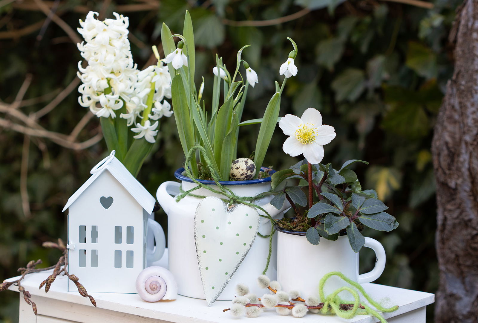 Frühlingsblumen Frühlingsblumen