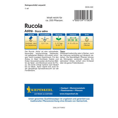 Saatgut Salatrauke 'Astra' Saatgut Salatrauke 'Astra'