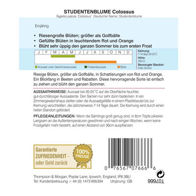 Thompson & Morgan Blumensamen Studentenblume 