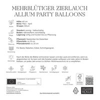 Zierlauch Allium 'Party Balloons', lila, Größe 16/+, 3 Blumenzwiebeln