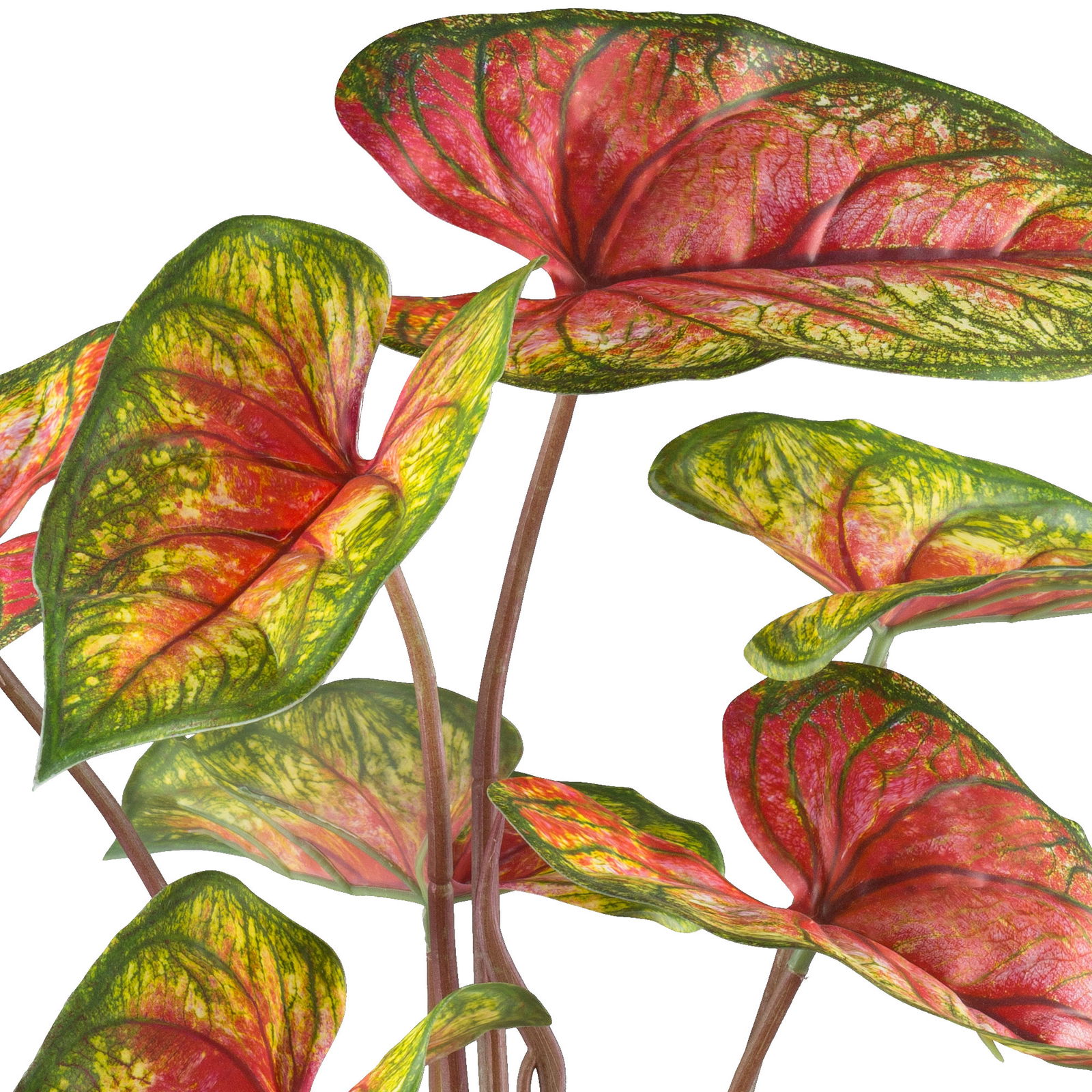 Kunstpflanze Caladium 'Red Flash' im Topf, Höhe ca. 55 cm