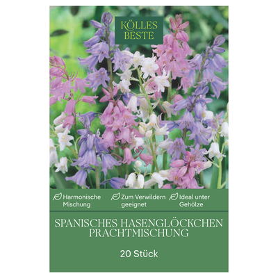 Waldhyazinthen (Hyacinthoides Hispanica) Prachtmischung, 20 Blumenzwiebeln Waldhyazinthen (Hyacinthoides Hispanica) Prachtmischung, 20 Blumenzwiebeln