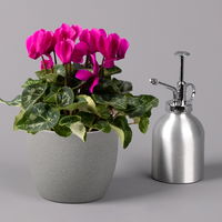 Alpenveilchen, lila, Topf-Ø 10,5 cm, Höhe ca. 23 cm, 6er-Set