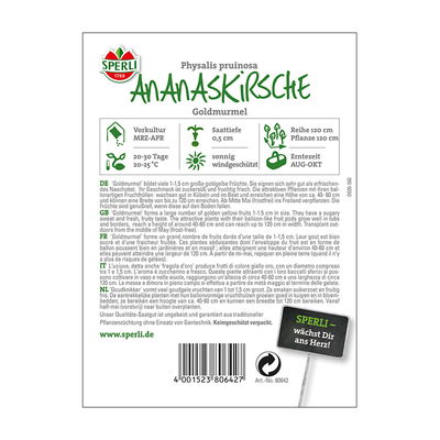 Obstsamen, Ananaskirsche 'Goldmurmel'