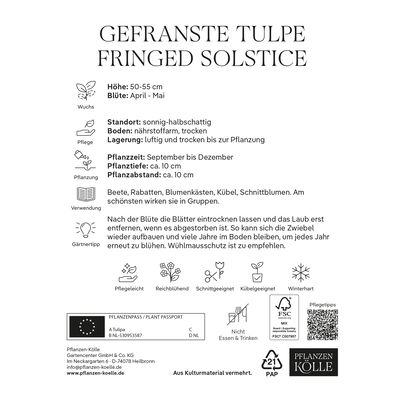 Kölles Beste Gefranste Tulpe 'Fringed Solstice®', rot/orange, 7 Blumenzwiebeln Kölles Beste Gefranste Tulpe 'Fringed Solstice®', rot/orange, 7 Blumenzwiebeln