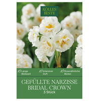 Gefüllte Narzisse 'Bridal Crown', gelb/weiß, 3 Blumenzwiebeln
