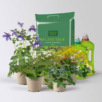 Pflanzenkreation Frühlingsmagie, 5 Pflanzen inkl. Erde und Dünger